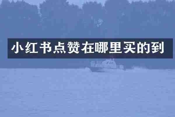 小红书点赞在哪里买的到