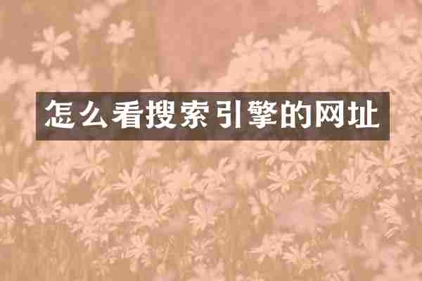 怎么看搜索引擎的网址