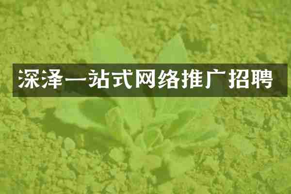 深泽一站式网络推广招聘