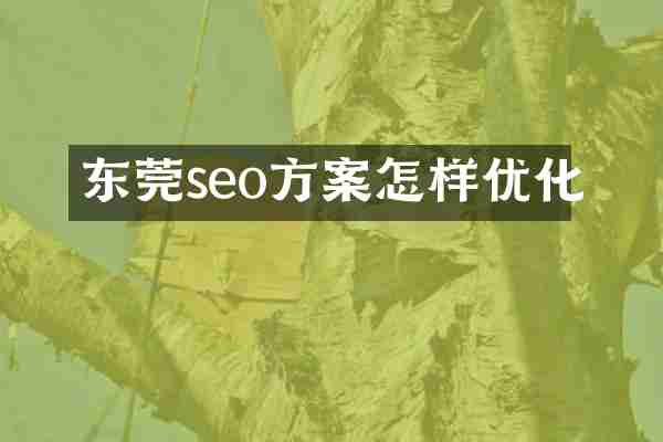 东莞seo方案怎样优化