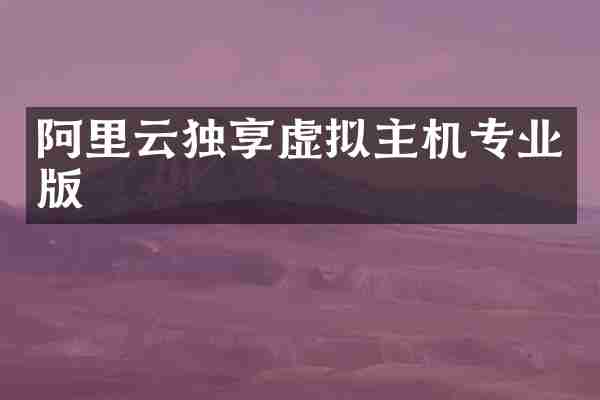 阿里云独享虚拟主机专业版