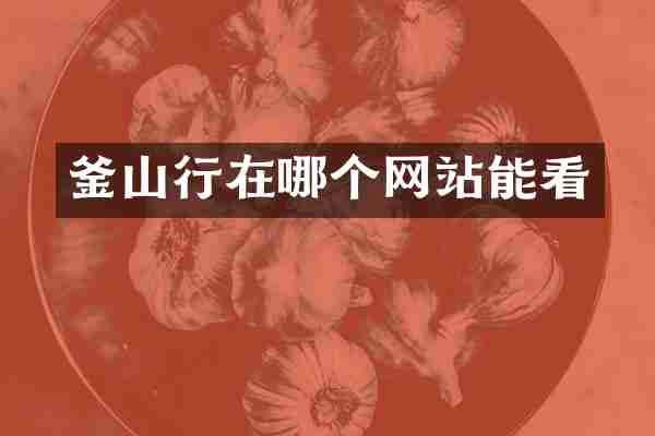 釜山行在哪个网站能看