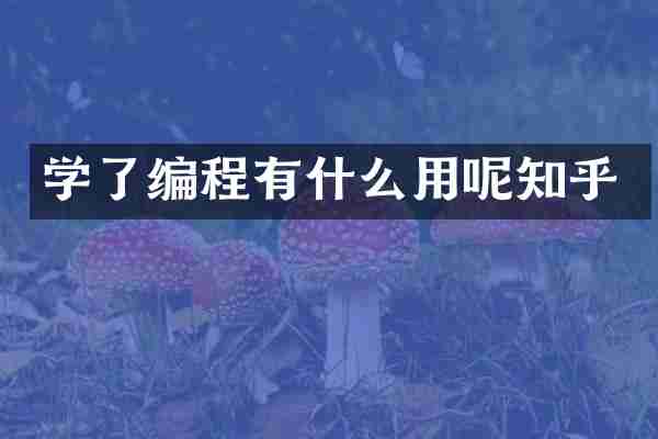学了编程有什么用呢知乎