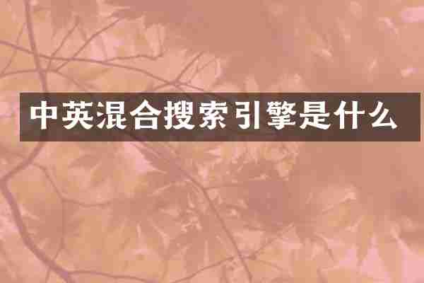 中英混合搜索引擎是什么