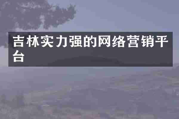 吉林实力强的网络营销平台