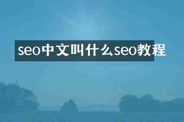 seo中文叫什么seo教程