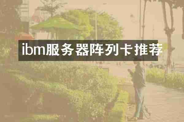 ibm服务器阵列卡推荐