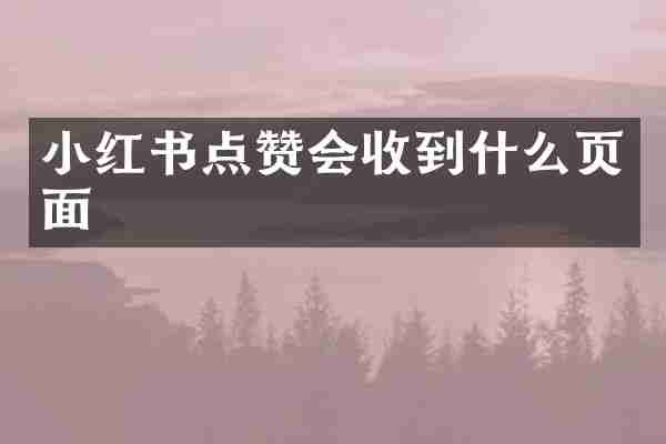 小红书点赞会收到什么页面