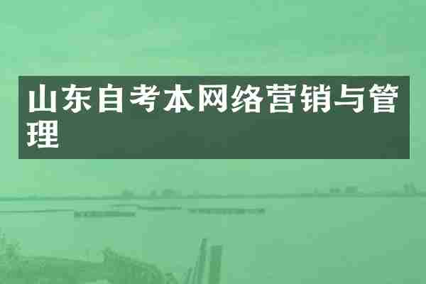 山东自考本网络营销与管理