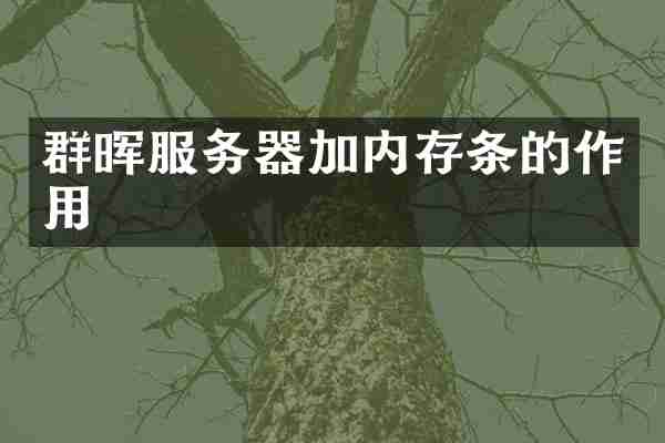 群晖服务器加内存条的作用
