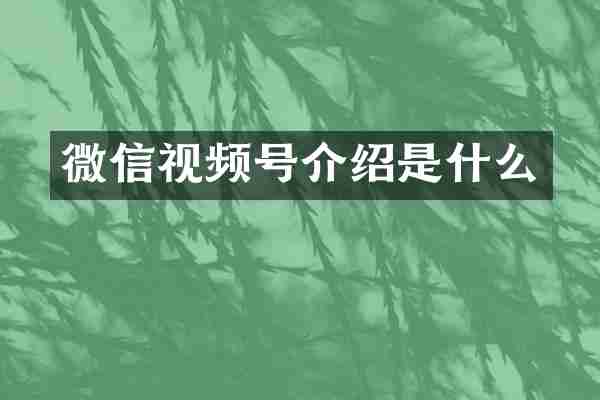 微信视频号介绍是什么