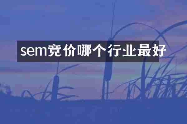 sem竞价哪个行业最好