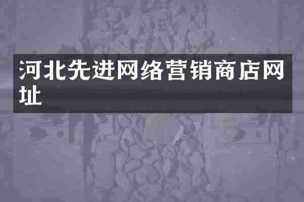 河北先进网络营销商店网址