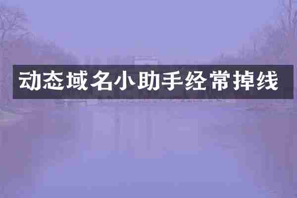 动态域名小助手经常掉线