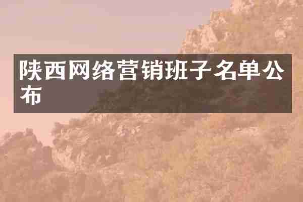 陕西网络营销班子名单公布