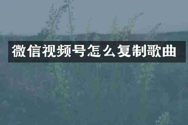 微信视频号怎么复制歌曲