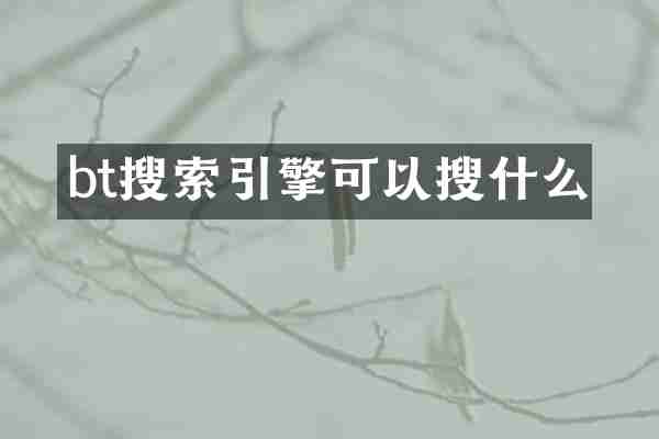 bt搜索引擎可以搜什么