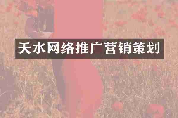 天水网络推广营销策划
