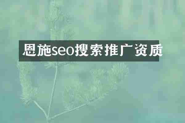 恩施seo搜索推广资质