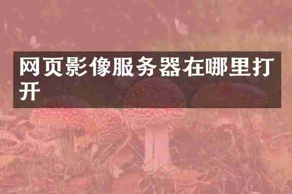 网页影像服务器在哪里打开