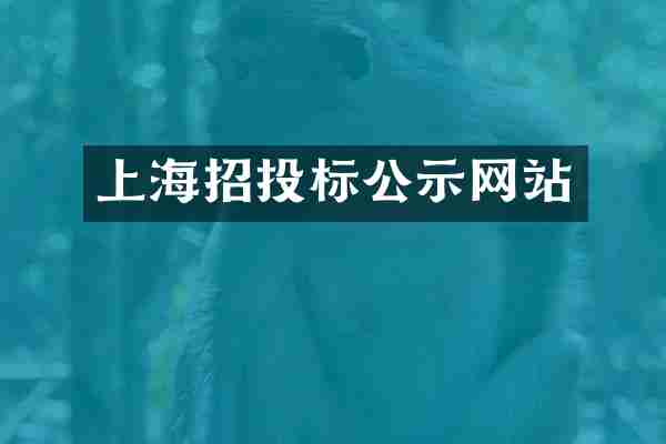 上海招投标公示网站