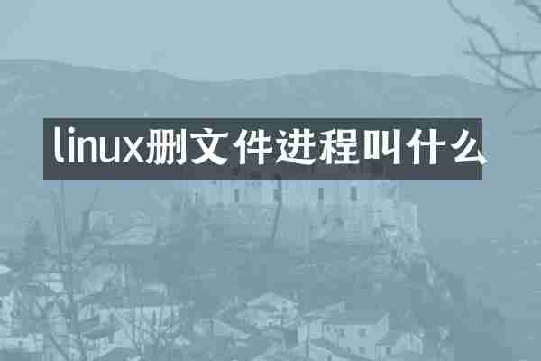 linux删文件进程叫什么