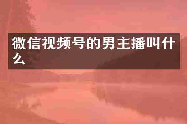 微信视频号的男主播叫什么