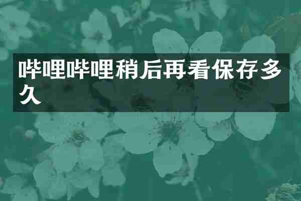 哔哩哔哩稍后再看保存多久