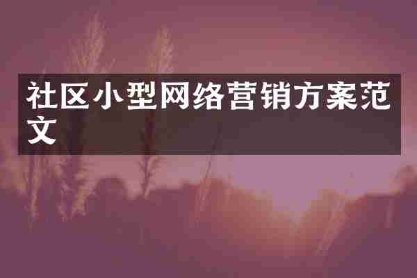 社区小型网络营销方案范文