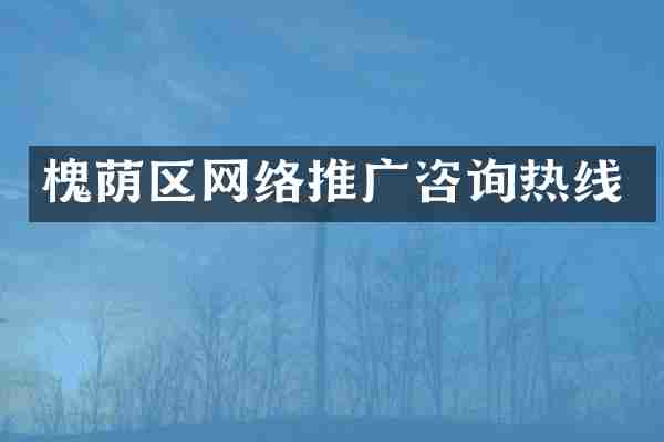 槐荫区网络推广咨询热线