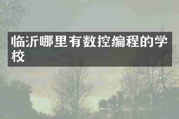临沂哪里有数控编程的学校