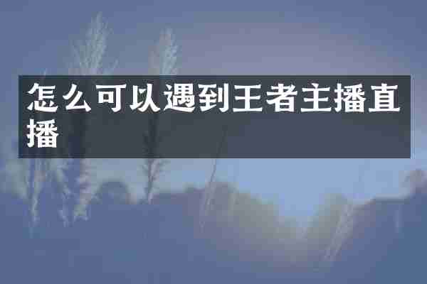 怎么可以遇到王者主播直播