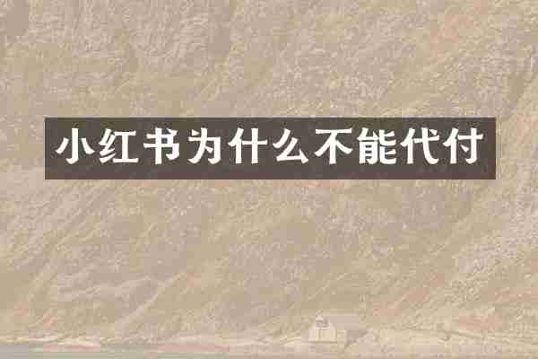 小红书为什么不能代付