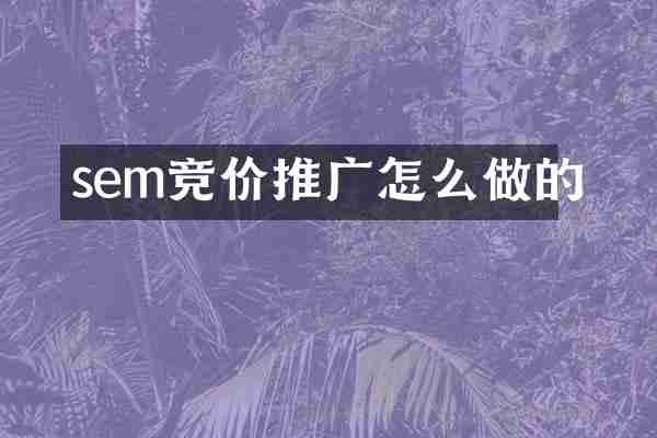 sem竞价推广怎么做的