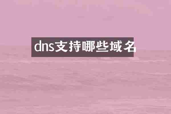dns支持哪些域名