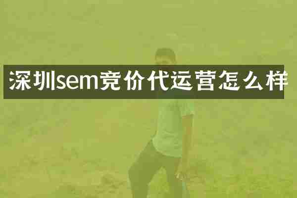 深圳sem竞价代运营怎么样