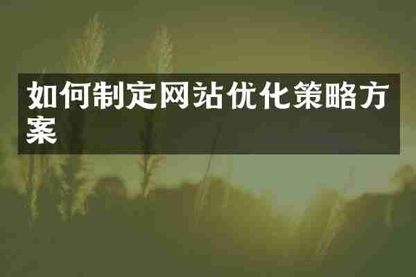如何制定网站优化策略方案