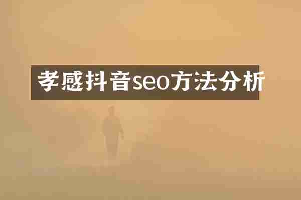 孝感抖音seo方法分析