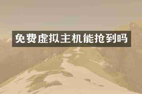 免费虚拟主机能抢到吗
