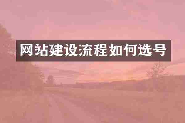 网站建设流程如何选号