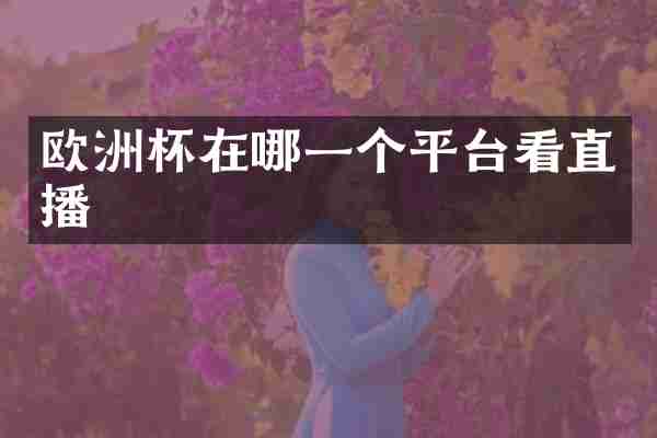 欧洲杯在哪一个平台看直播