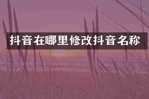 抖音在哪里修改抖音名称