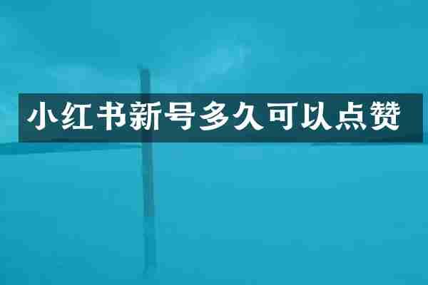 小红书新号多久可以点赞