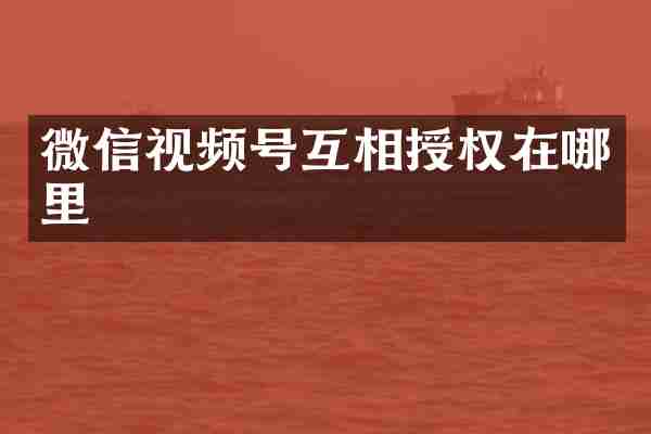 微信视频号互相授权在哪里