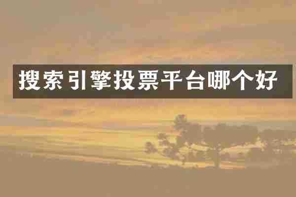 搜索引擎投票平台哪个好