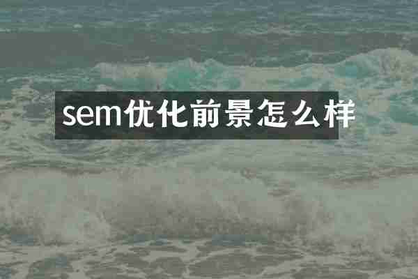 sem优化前景怎么样