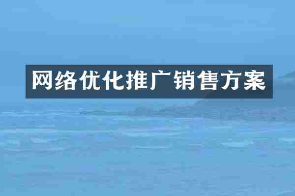 网络优化推广销售方案