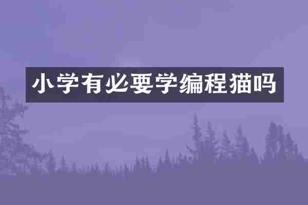 小学有必要学编程猫吗
