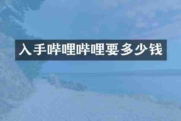 入手哔哩哔哩要多少钱