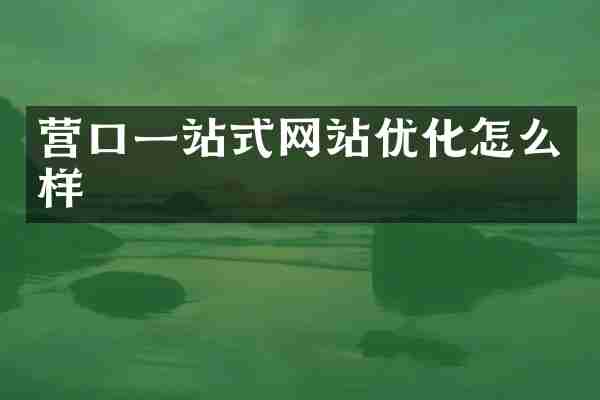 营口一站式网站优化怎么样